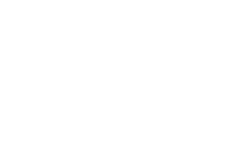 Sticks n' Festival — Special Mention - 